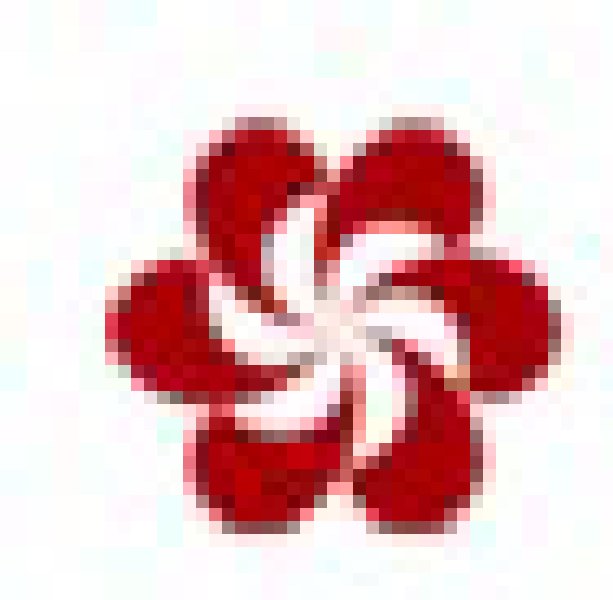 2010第108屆中國進(jìn)出口商品交易會(huì)(第一期)